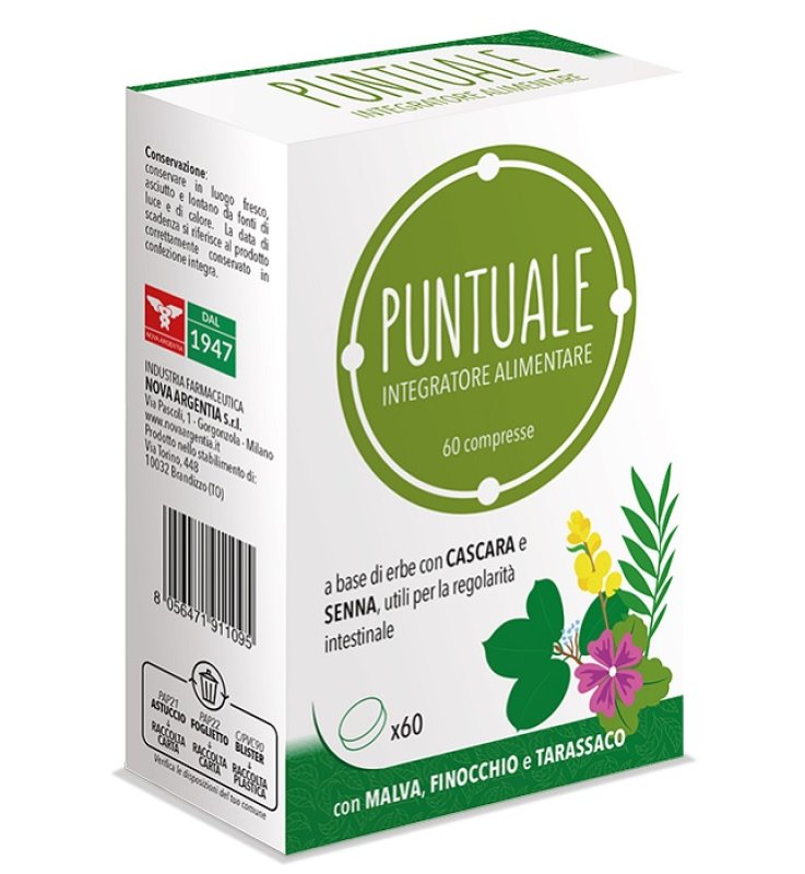 PUNTUALE 60CPR