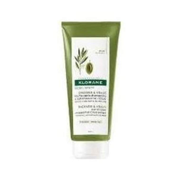 KLORANE BALSAMO ALL' ULIVO 50 ML KLORANE BALSAMO ALL' ULIVO 50 ML