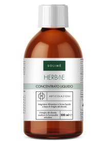 CONCENTRATO LIQUIDO ARTIC500ML S