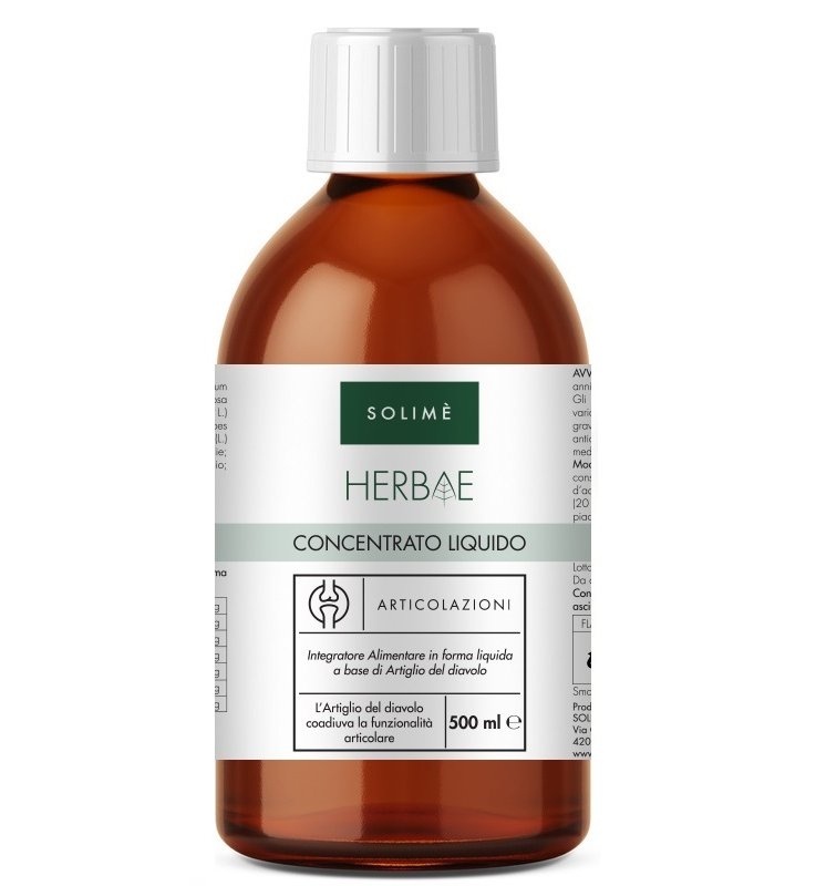 CONCENTRATO LIQUIDO ARTIC500ML S