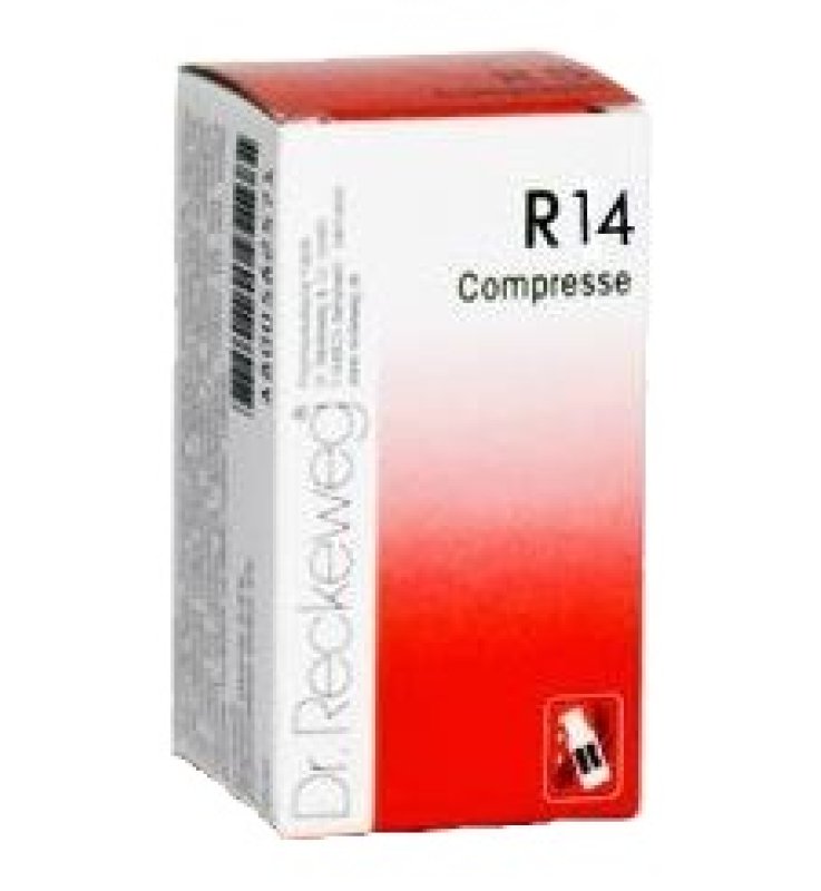 RECKEWEG R14 100 COMPRESSE