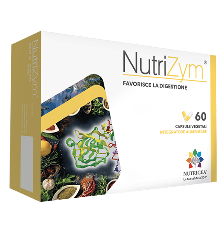 NUTRIZYM 60 CAPSULE