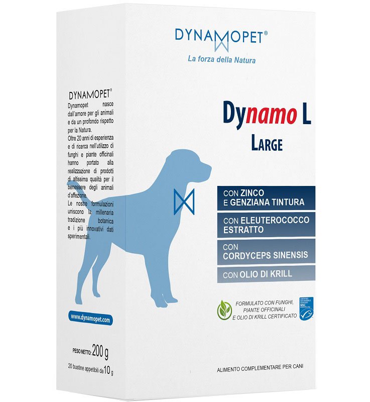 DYNAMO L Large 20Bust.10g DYNAMO L Large 20Bust.10g