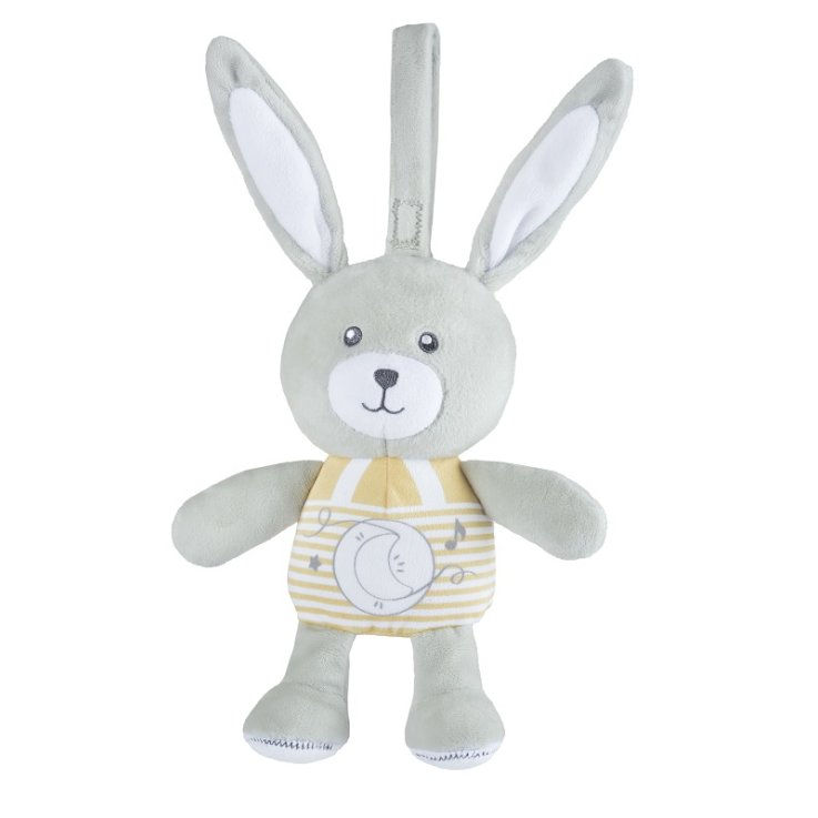 CH Gioco FD Lullaby Star Bunny CH Gioco FD Lullaby Star Bunny