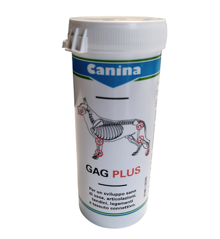 GAGPLUS 100 ca.60 Cpr