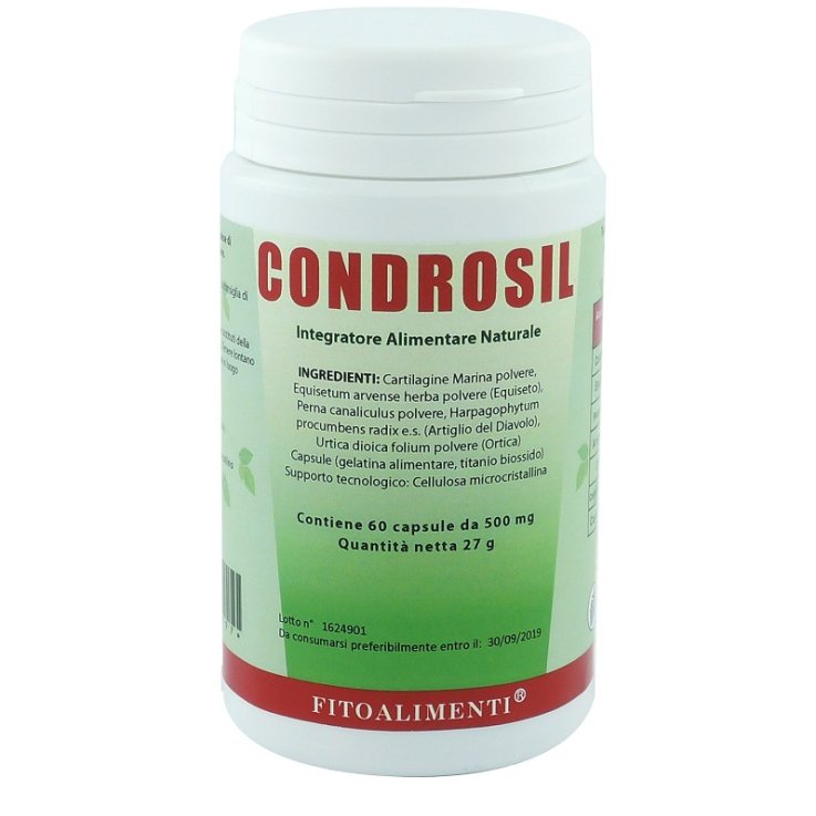 CONDROSIL 60CPS EURONATUR CONDROSIL 60CPS EURONATUR