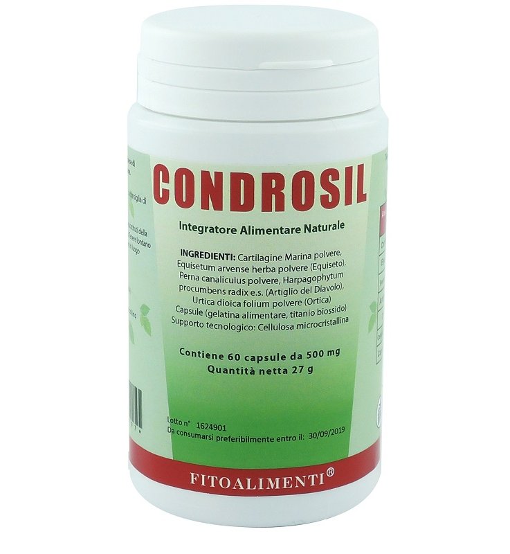 CONDROSIL 60CPS EURONATUR