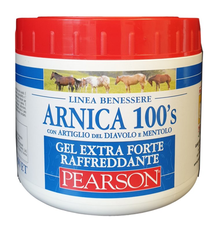 V ARNICA 100'S GEL EXT.FORTE RAF