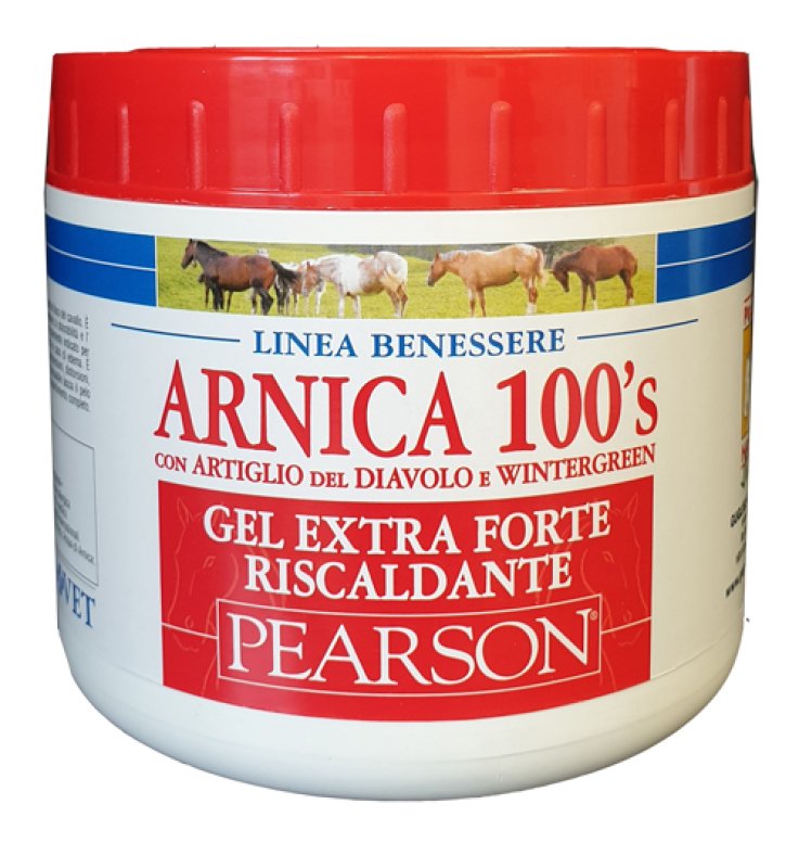 ARNICA 100'S GEL EX FT RISC500