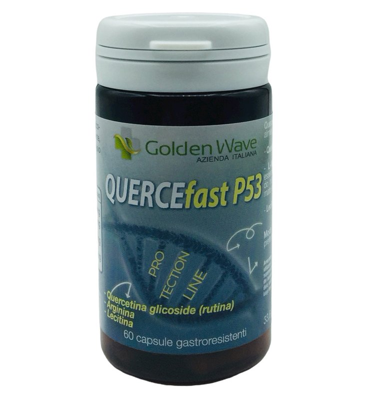 QUERCEFAST P53 60CPS GASTRO