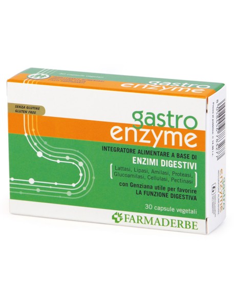 GASTRO ENZYME 30 CAPSULE