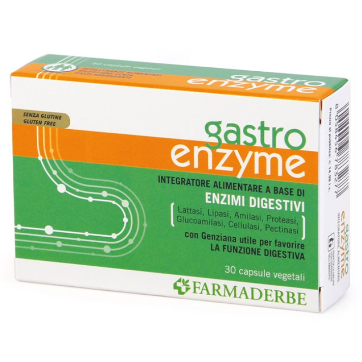 GASTRO ENZYME 30 CAPSULE GASTRO ENZYME 30 CAPSULE