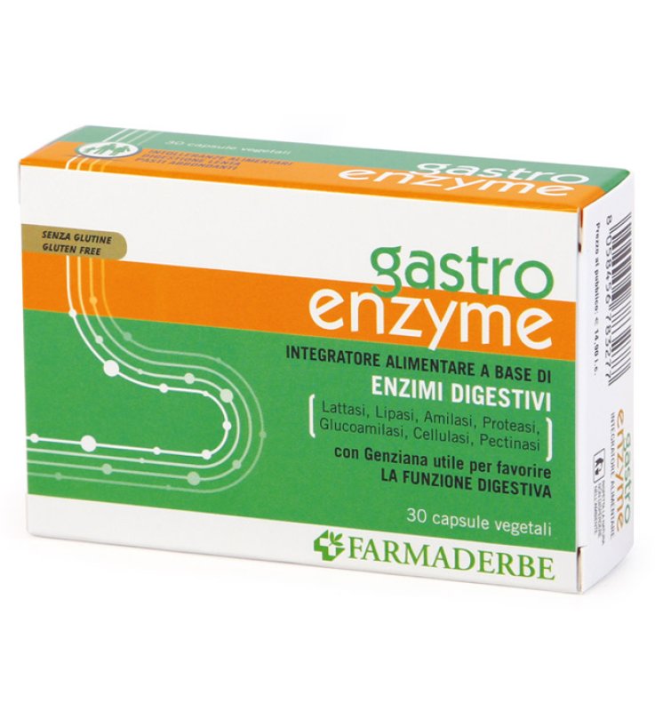 GASTRO ENZYME 30 CAPSULE GASTRO ENZYME 30 CAPSULE