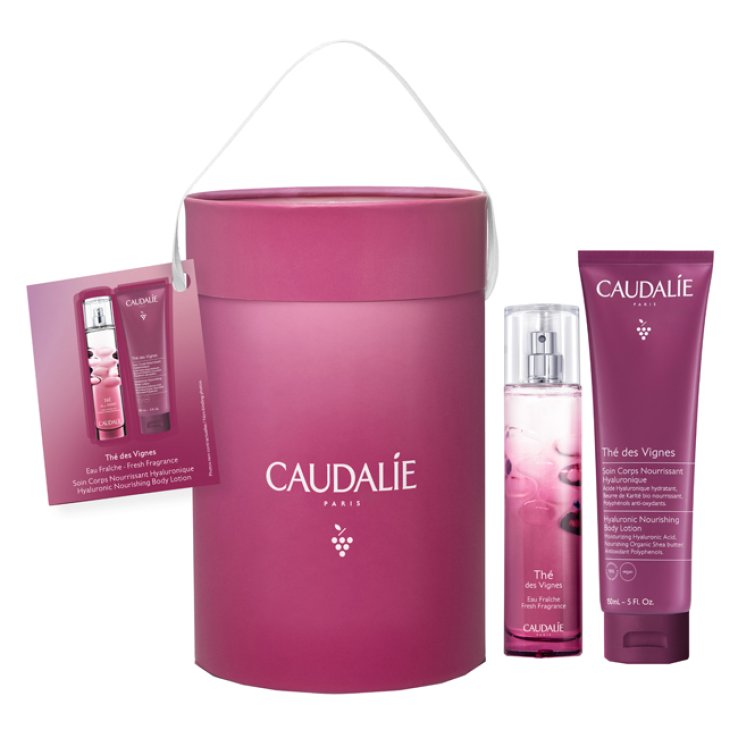 COFANETTO THE DES VIGNES 100 ML XMAS 2022 PROFUMO 100 ML + RGEL DOCCIA 75 ML COFANETTO THE DES VIGNES 100 ML XMAS 2022 PROFUMO 100 ML + RGEL DOCCIA 75 ML