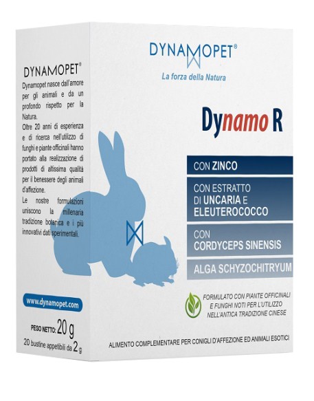 DYNAMO R 20 Bust.2g