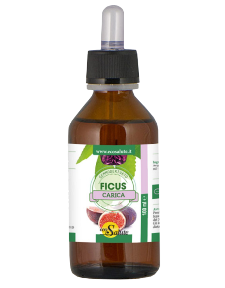 FICUS CARICA MG GTT 100ML