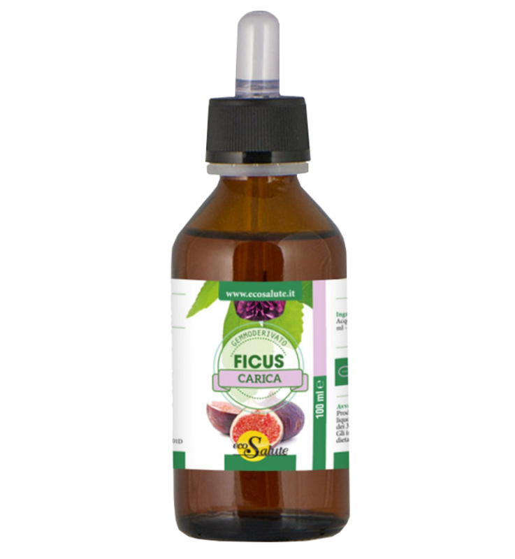 FICUS CARICA MG GTT 100ML