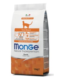 V MONGE CAT AD STER MONO ANAT 1,