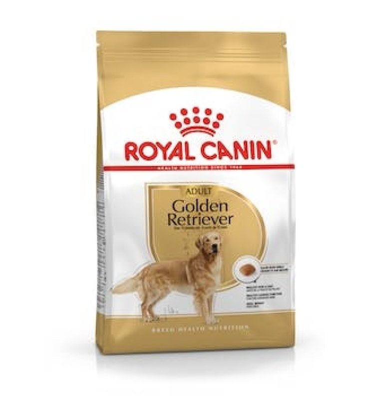 V RC DOG GOLDEN RETRIV.ADUL V RC DOG GOLDEN RETRIV.ADUL