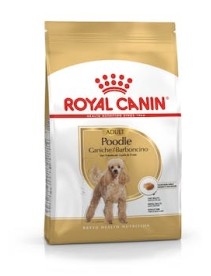 V BREED HN POODLE 1,5KG(BARBONCI