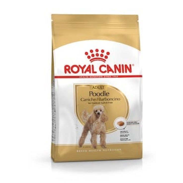 V BREED HN POODLE 1,5KG(BARBONCI V BREED HN POODLE 1,5KG(BARBONCI