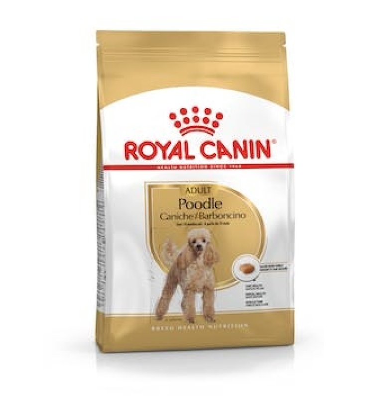 V BREED HN POODLE 1,5KG(BARBONCI V BREED HN POODLE 1,5KG(BARBONCI