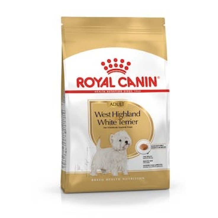 V RC DOG WEST HIG.W.TERR.1, V RC DOG WEST HIG.W.TERR.1,