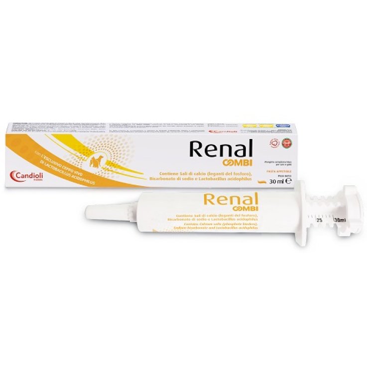 RENAL Combi Pasta 30ml RENAL Combi Pasta 30ml