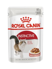 V RC CAT ADULT ISTINCTIVE 8