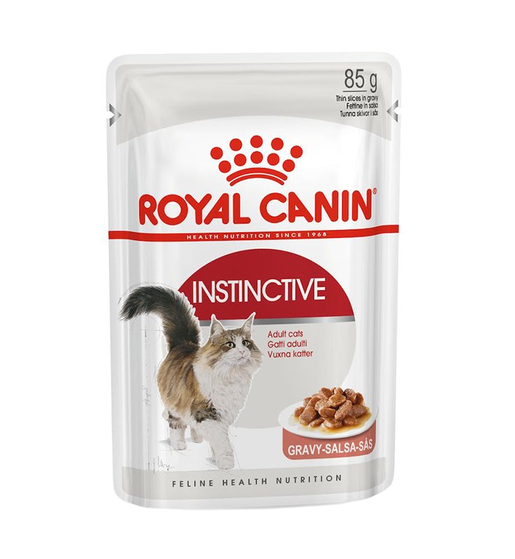 V RC CAT ADULT ISTINCTIVE 8