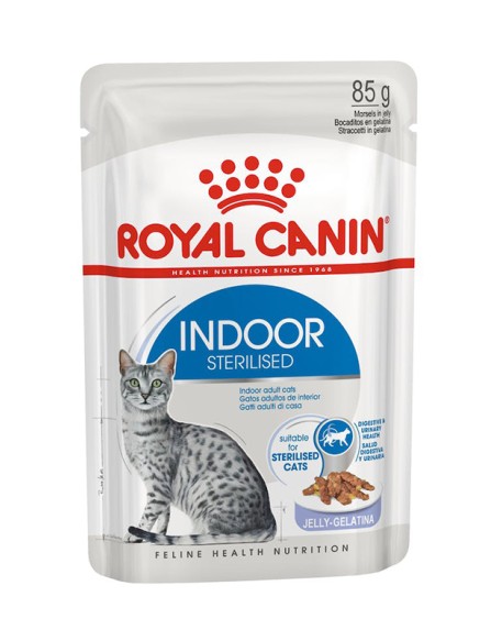 V RC CAT INDOOR JELLY 85G V RC CAT INDOOR JELLY 85G