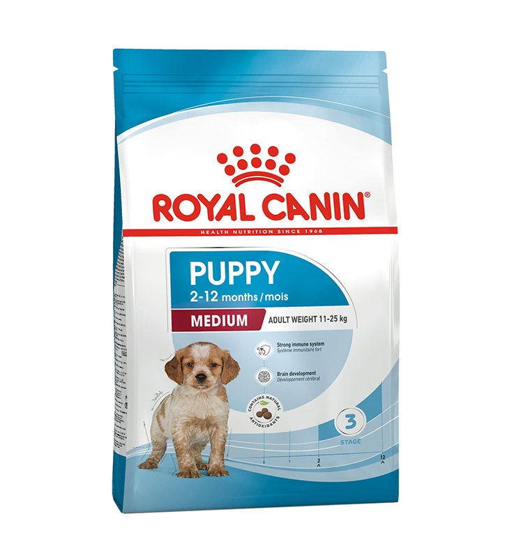 V RC DOG MEDIUM JUN.4KG AM3 V RC DOG MEDIUM JUN.4KG AM3