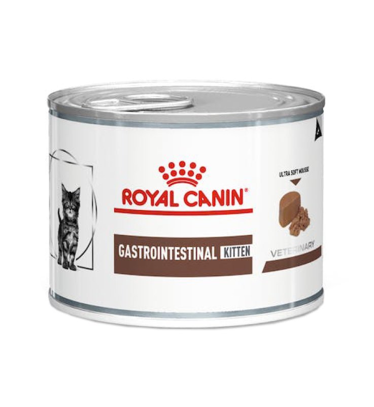 VHN WET CAT GASTROINTESTIN 195G
