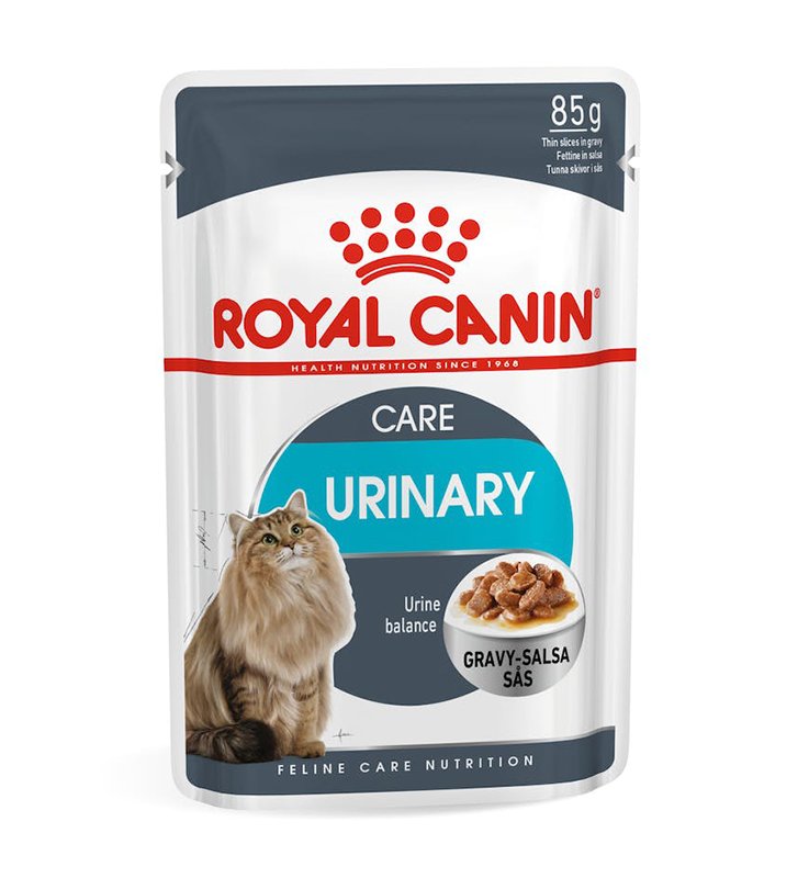 V RC CAT FCN WET URINARY 1 BST 8