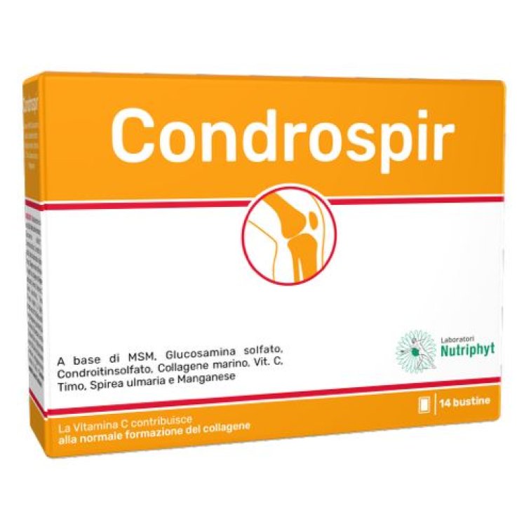 CONDROSPIR 14 Bust. CONDROSPIR 14 Bust.