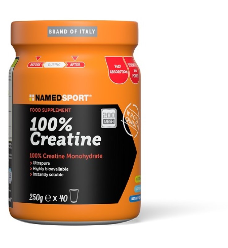 CREATINA 100% 250g NAMED