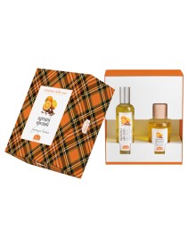 I PROFUMI DELLA CASA SET AGRUMI SPEZIATI 1 FRAGRANZA AMBIENTE SPRAY 100 ML + BASTONCINI AROMATICI AMBIENTE 100 ML