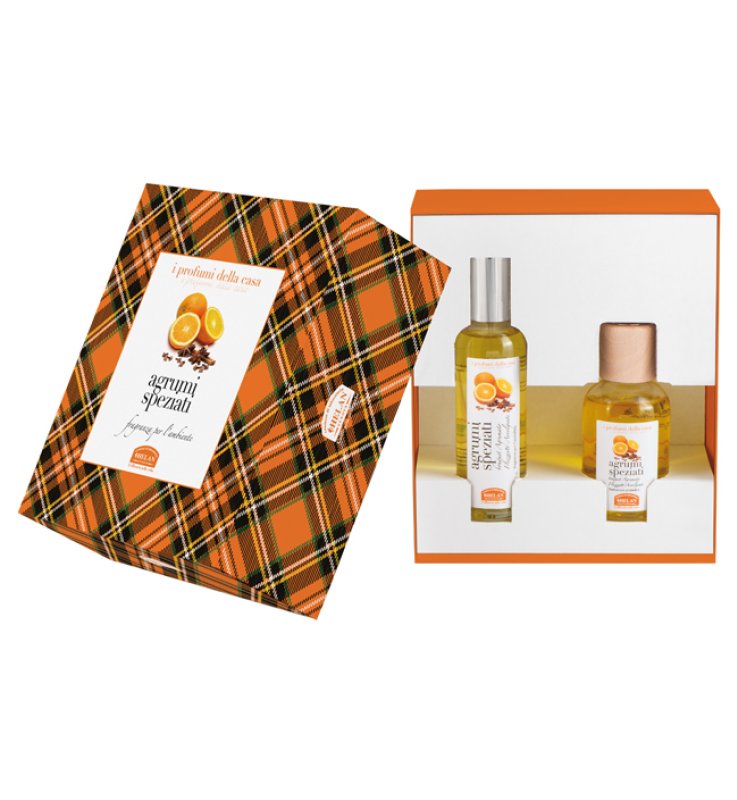 I PROFUMI DELLA CASA SET AGRUMI SPEZIATI 1 FRAGRANZA AMBIENTE SPRAY 100 ML + BASTONCINI AROMATICI AMBIENTE 100 ML