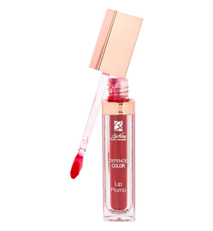 DEFENCE C.GLOSS/LIP PLUMP N6 ROU