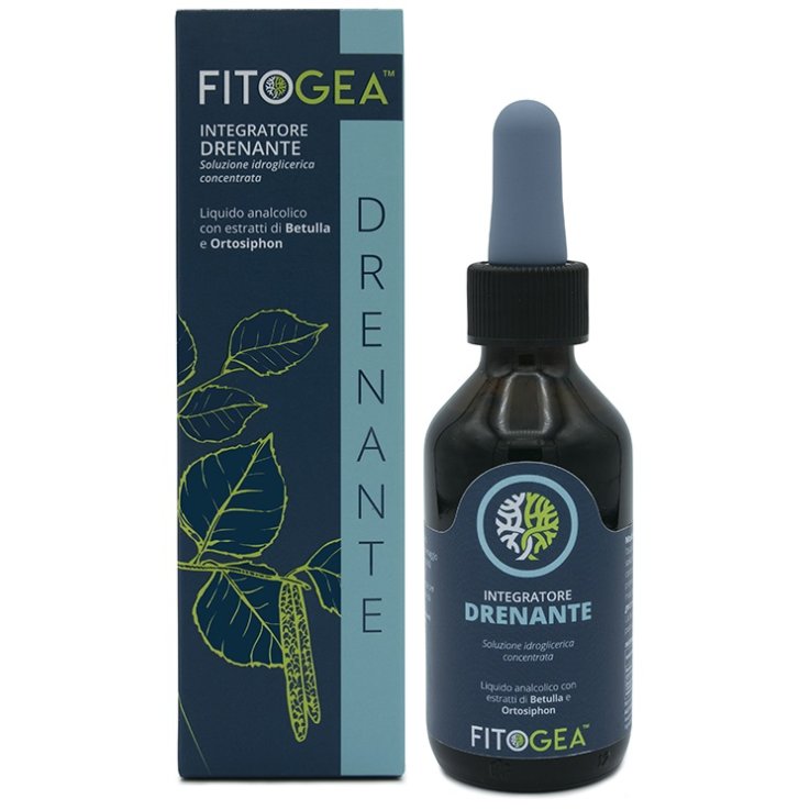 FITOGEA DRENANTE 100ML FITOGEA DRENANTE 100ML