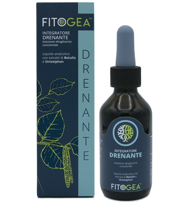 FITOGEA DRENANTE 100ML FITOGEA DRENANTE 100ML