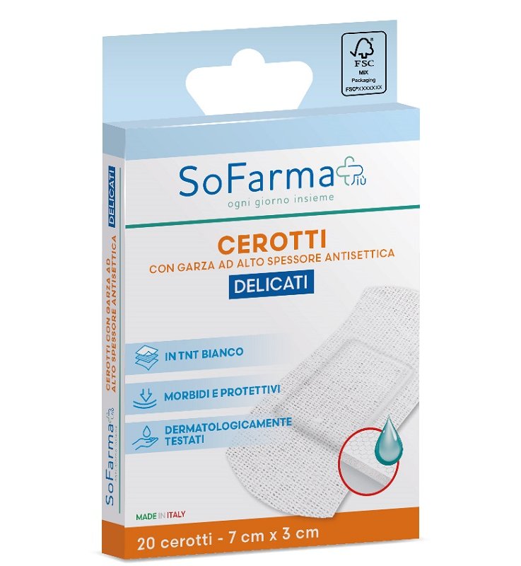 SF+ CER DELICATI 7X3 20PZ