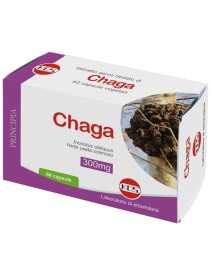 CHAGA ESTRATTO SECCO TIT 60CPS