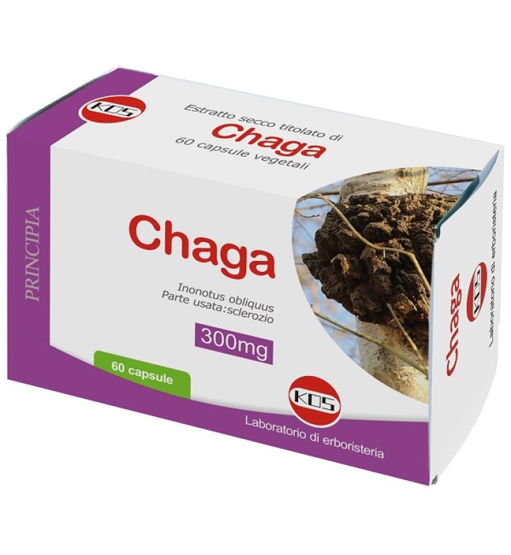 CHAGA ESTRATTO SECCO TIT 60CPS