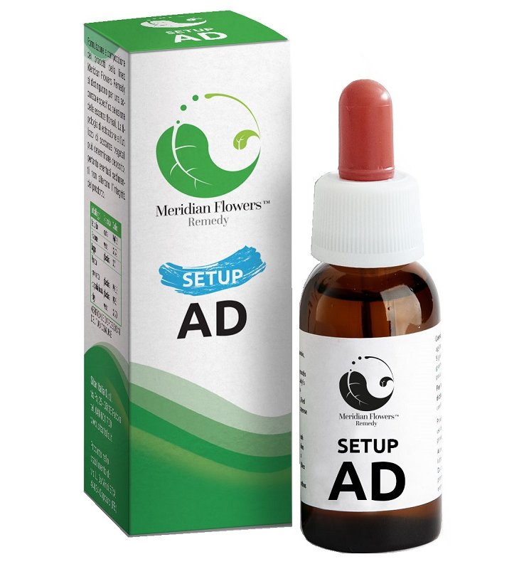 SETUP AD MERIDIAN FLOWERS REM.10