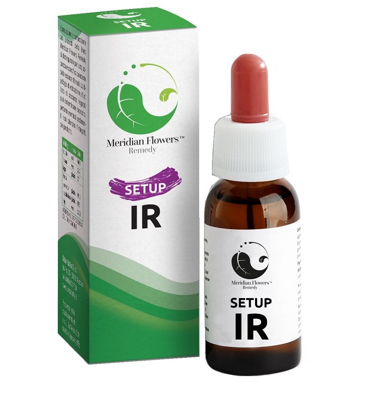SETUP IR MERIDIAN FLOWERS REM.10