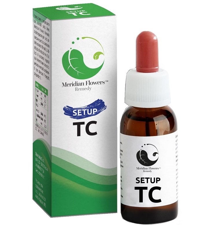 SETUP TC MERIDIAN FLOWERS REM.10