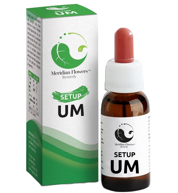 SETUP UM MERIDIAN FLOWERS REM.10