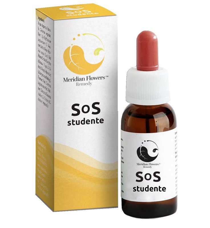 MFR SOS STUDENTE MERIDIAN FLOWER