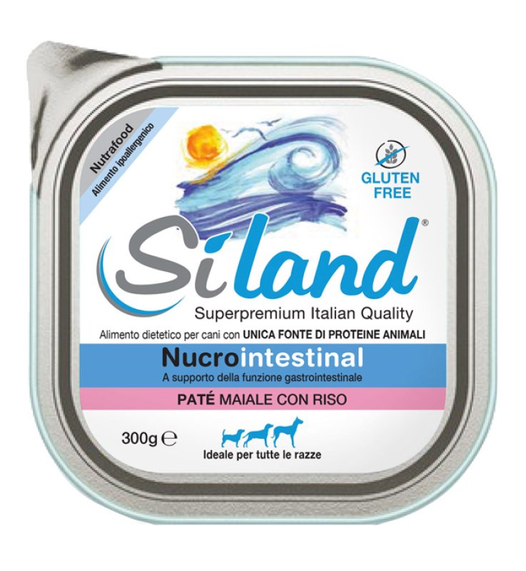 V SILAND NUCROINTESTINAL MAIALE/